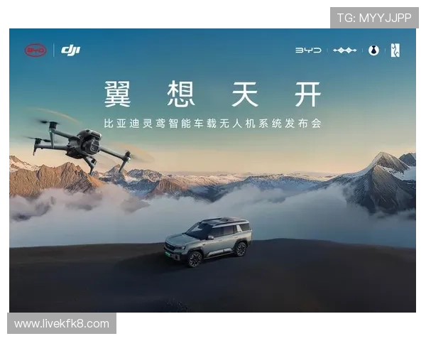 凯发天生赢家：开启属于你的财富之门，成就非凡人生的最佳选择